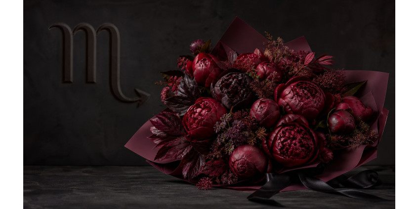 Scorpio — the zodiac's flower: burgundy peony, black rose, purple orchid