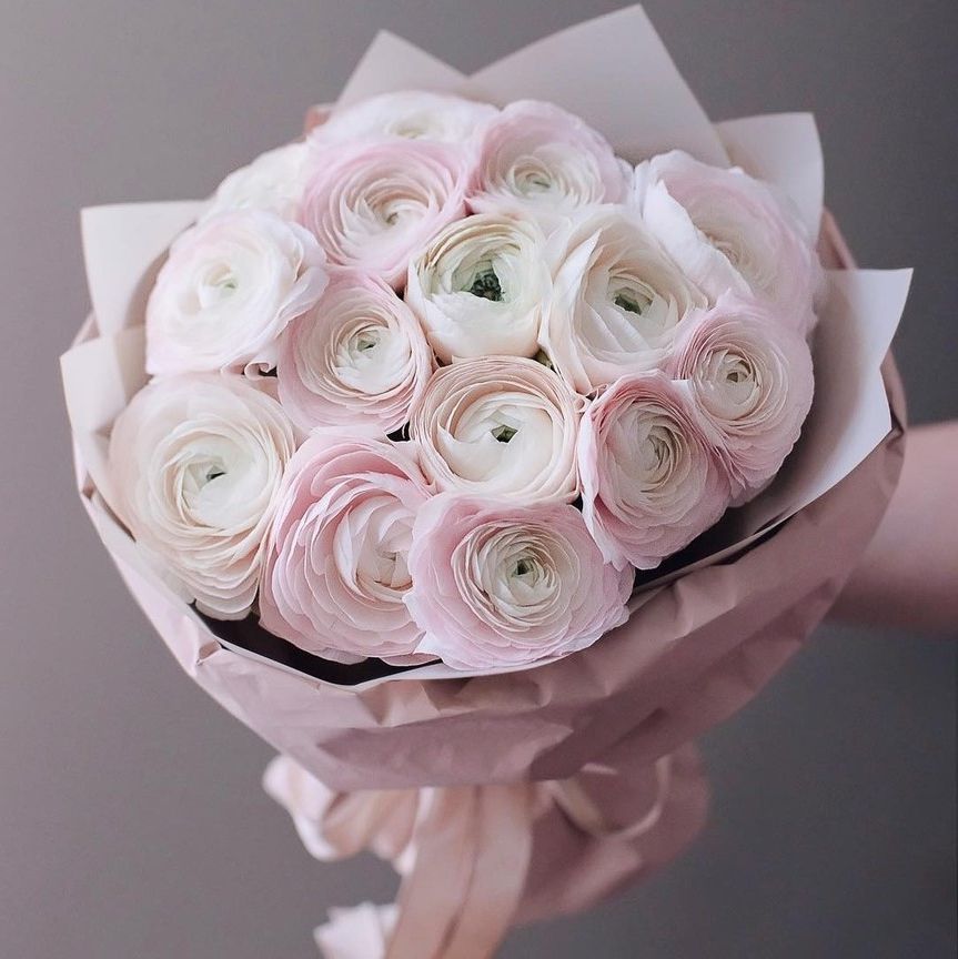 Ranunculus
