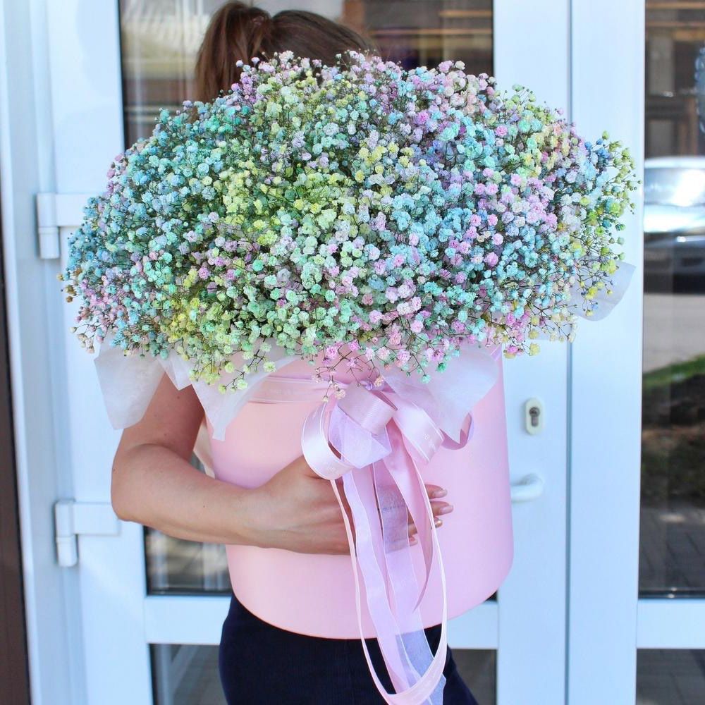 Baby's Breath
