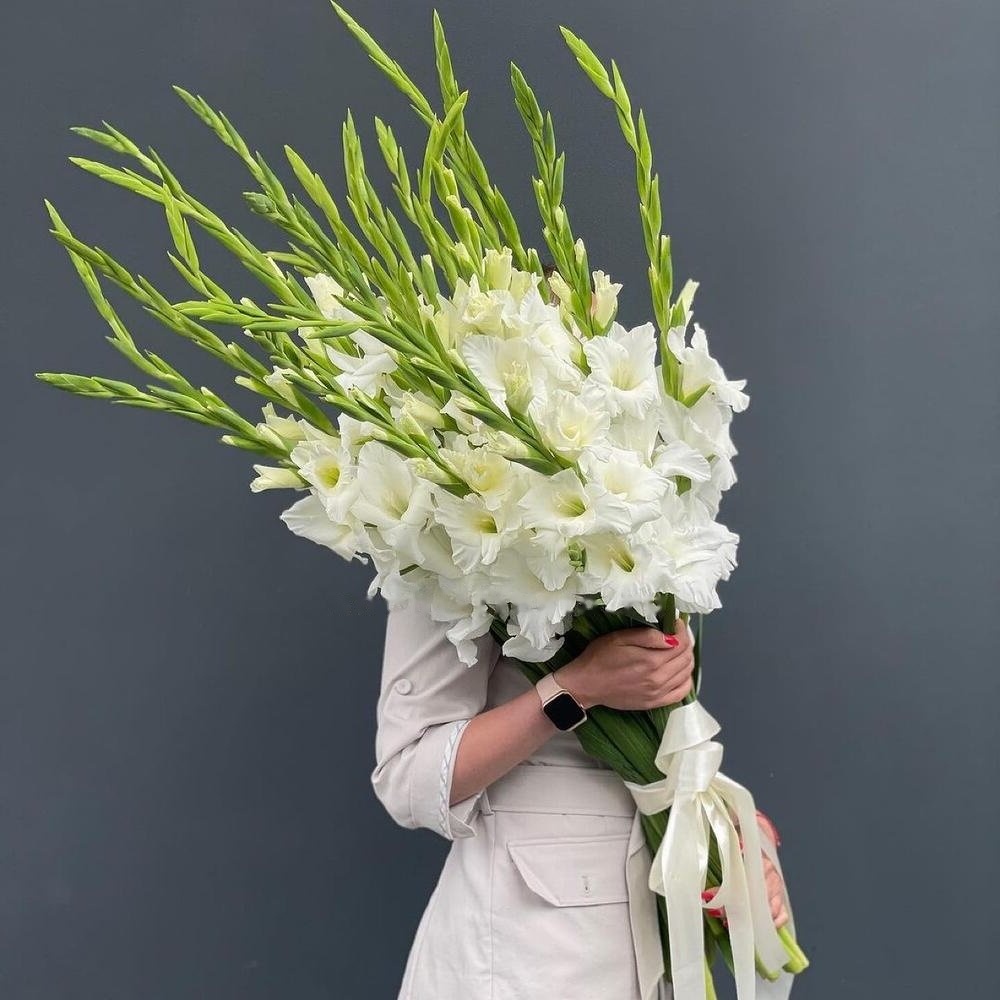 Gladiolus Bouquet