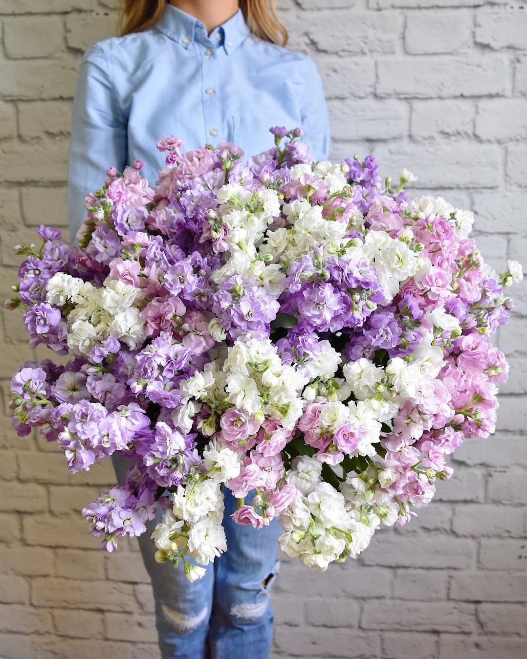 Bouquet with Matthiola