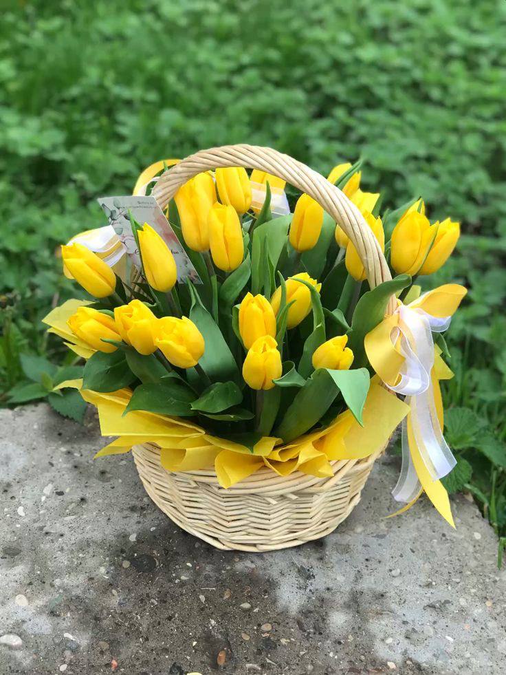 Yellow Baskets