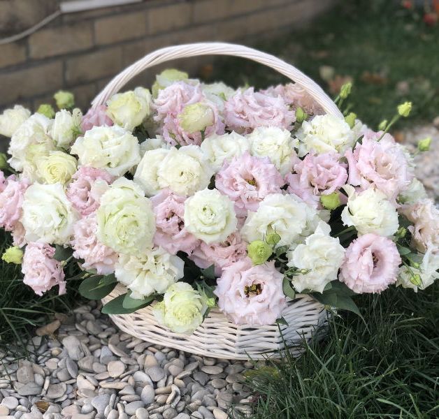 Eustoma Baskets