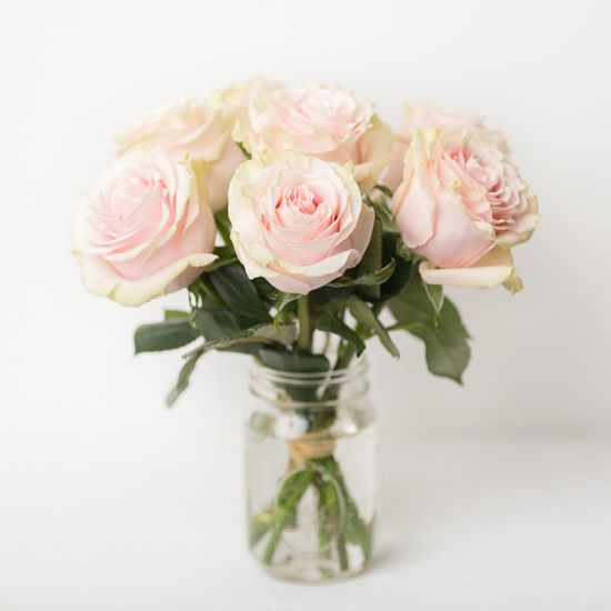 Tea Roses