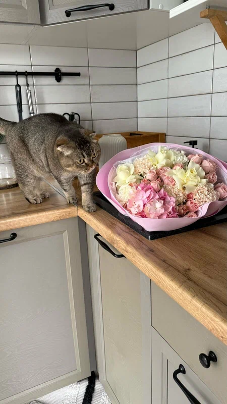 Flower Subscription