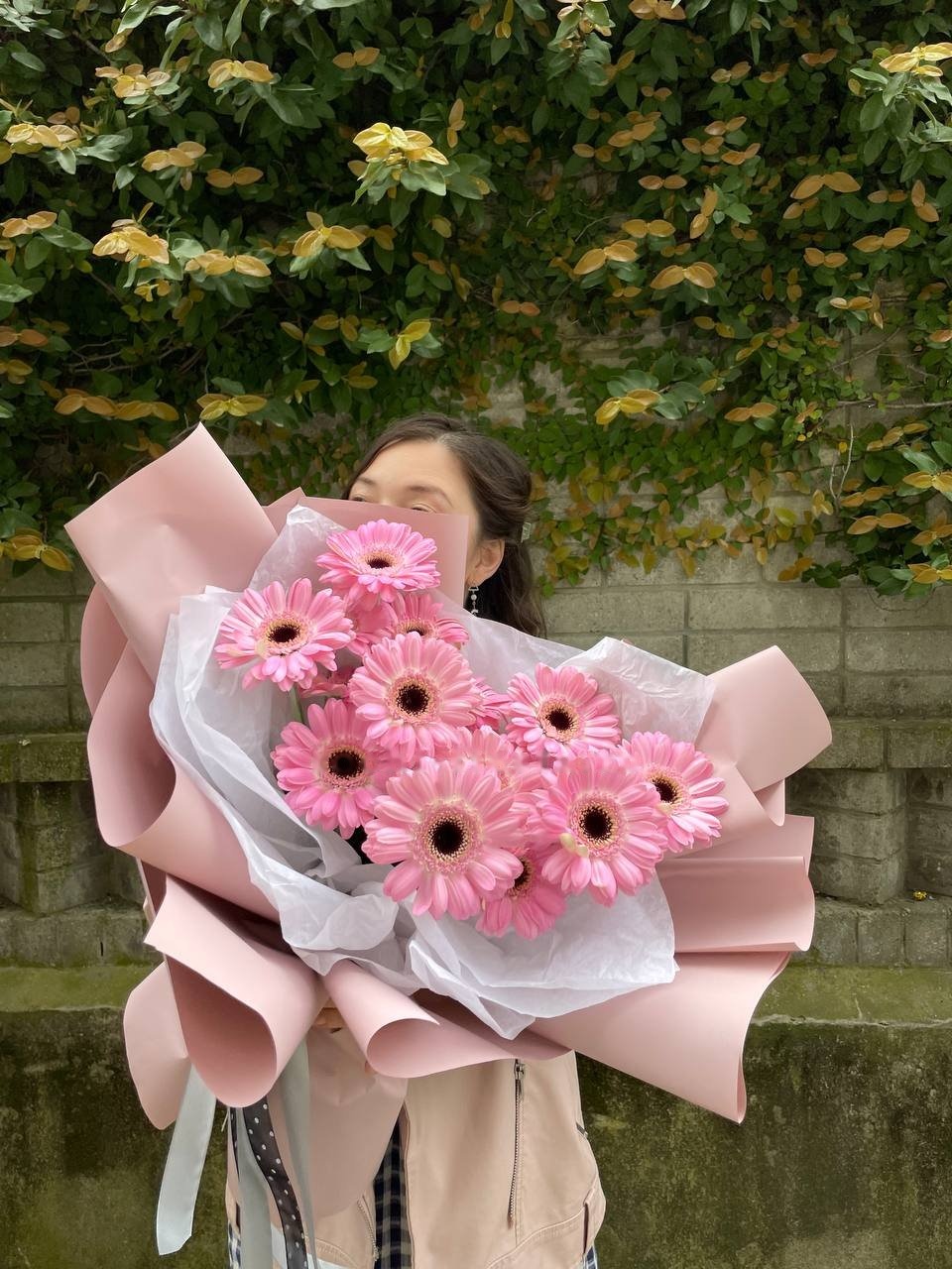 Gerberas