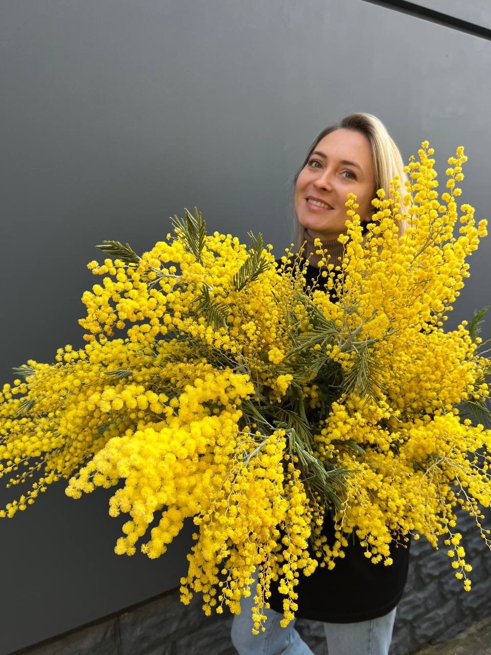 Mimosa