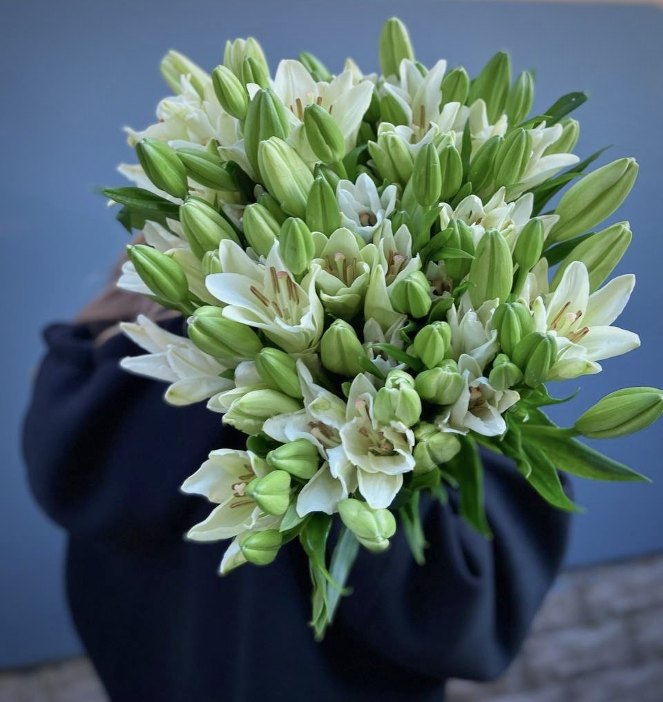 Lilies