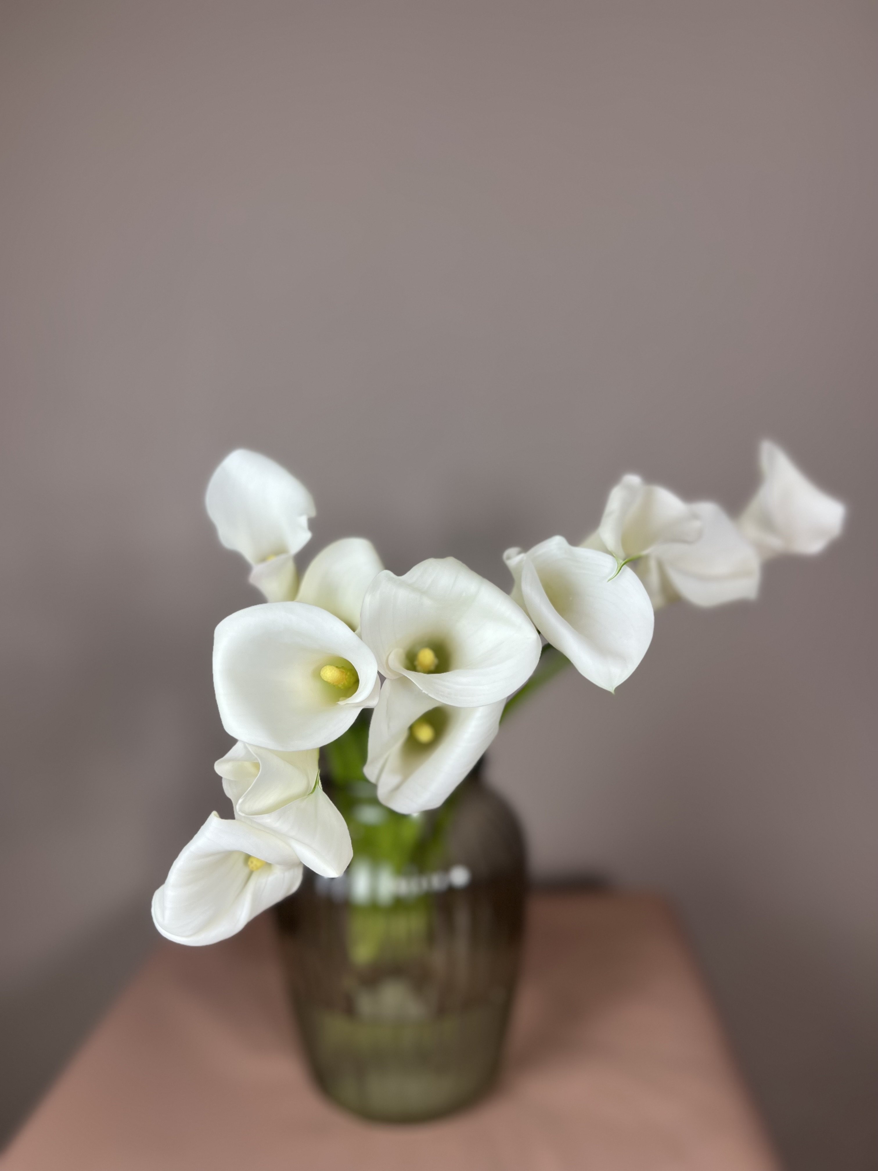 Calla Lilies