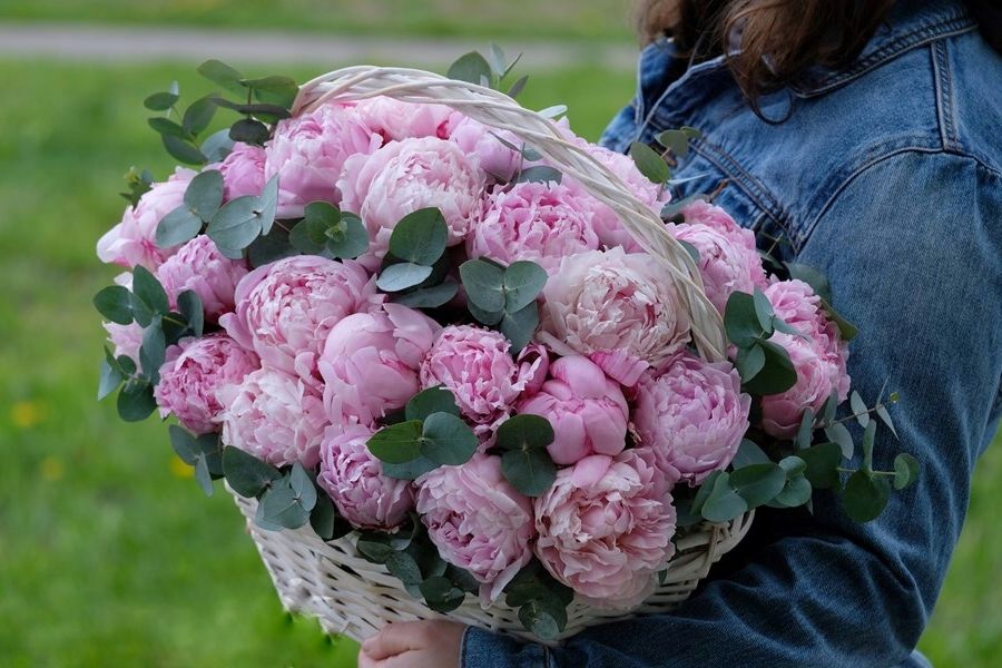 51 Peonies