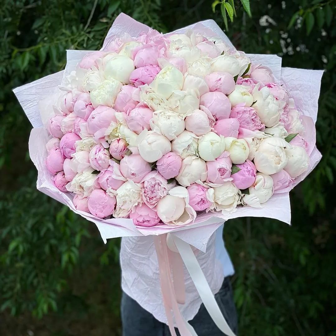 101 Peonies