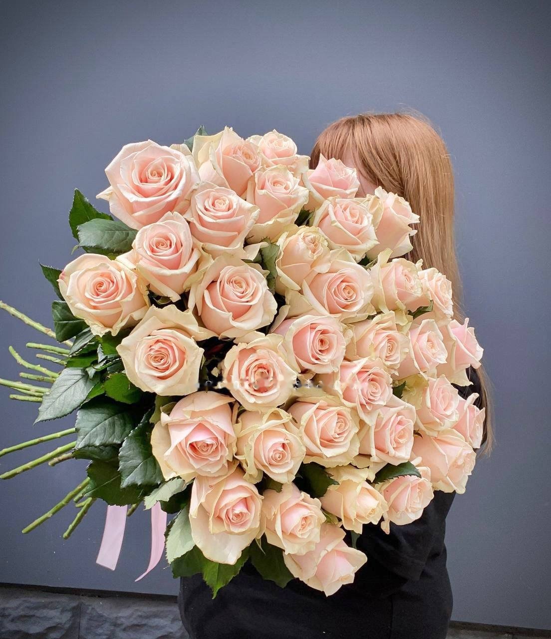 Cream Roses