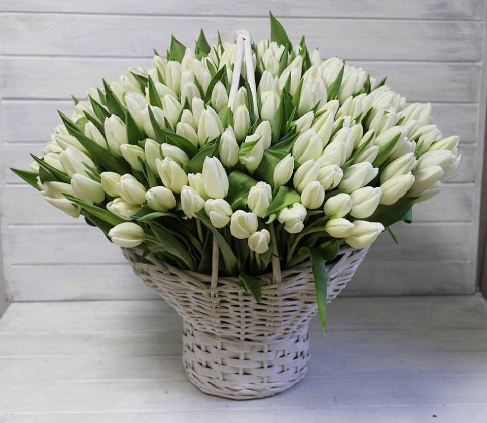 Tulips by Quantity