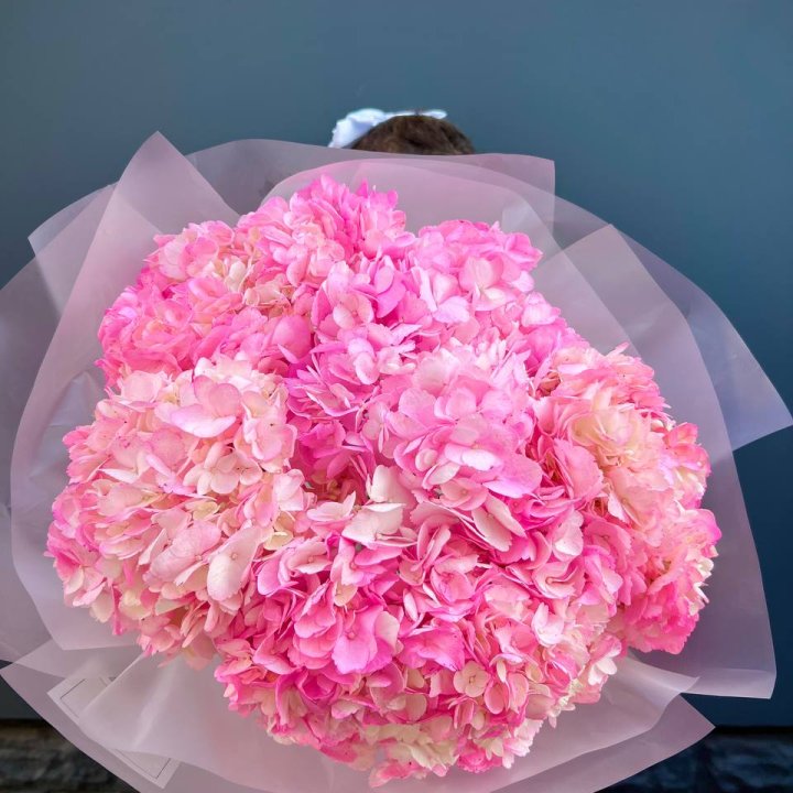9 Bright Pink Hydrangeas in London