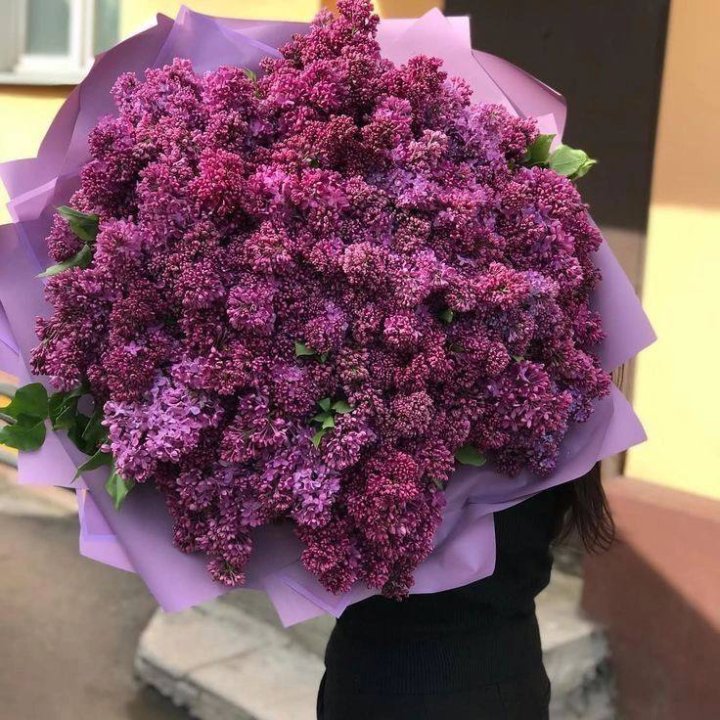 51 Lilac in a Bouquet in Monaco