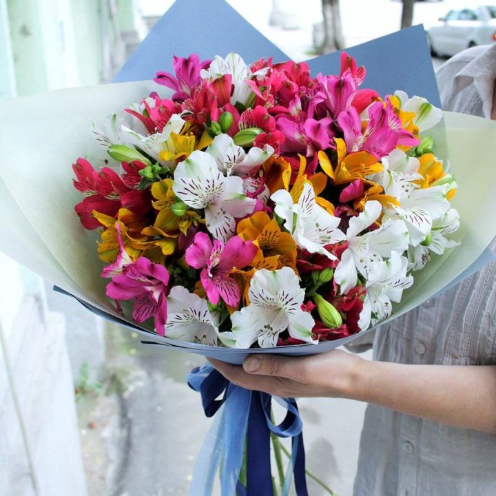 Alstroemeria Mix in Bangalore