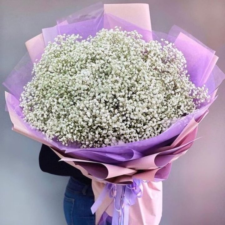 Cloud of White Gypsophila in Dubai