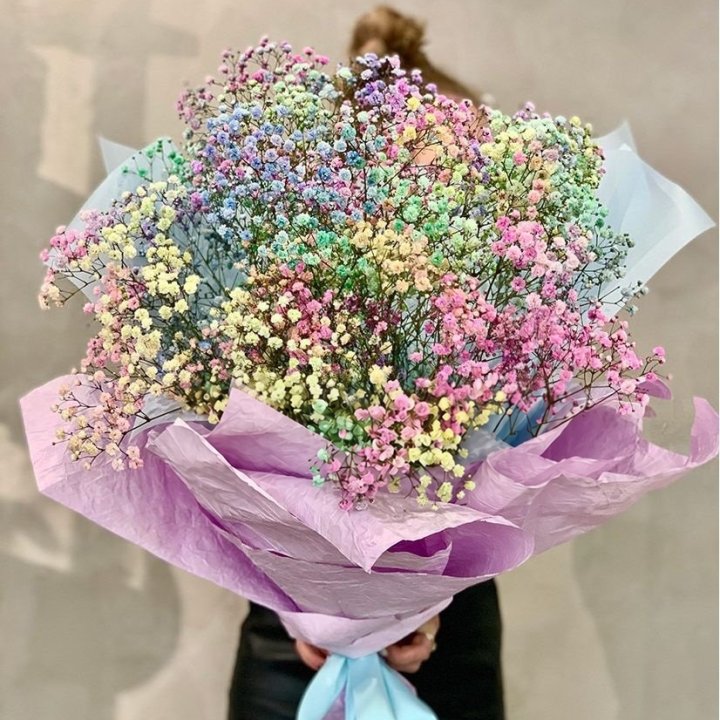 Rainbow Gypsophila No. 2 in Dubai