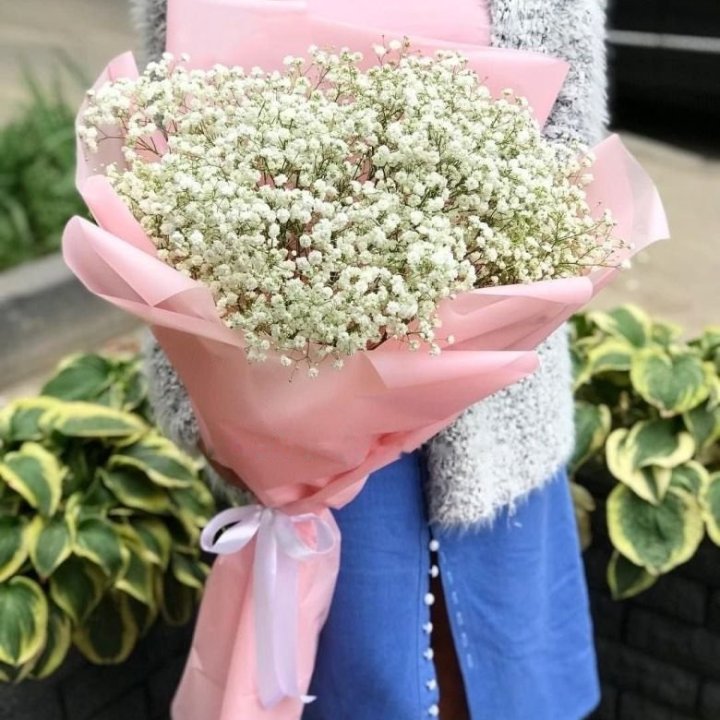 Snow-White Gypsophila in Dubai