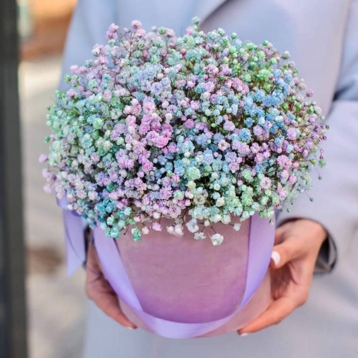 Gypsophila in Hat Box "Candlelight" in Dubai