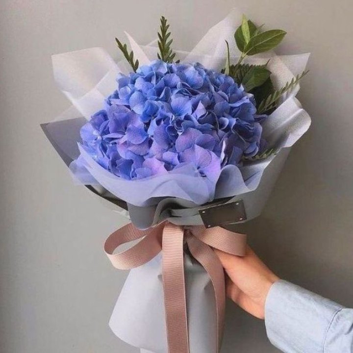 Blue Hydrangea in Okurcalar