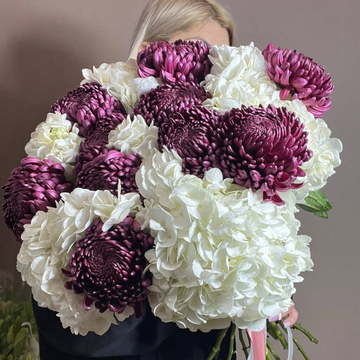 Bunch of Curling Bunnies and Hydrangeas in Chisinau