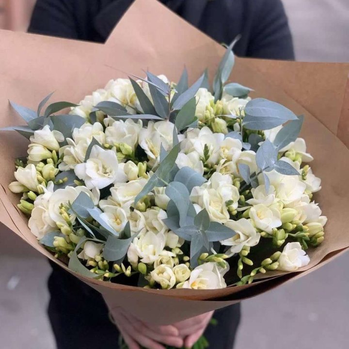 51 Freesias with Eucalyptus in Melbourne