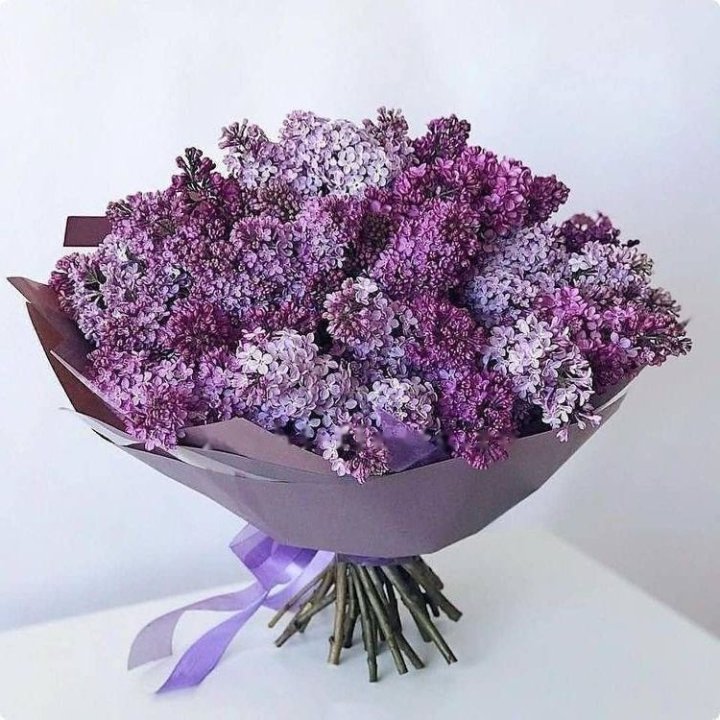Lilac Bouquet No. 4 in Monaco