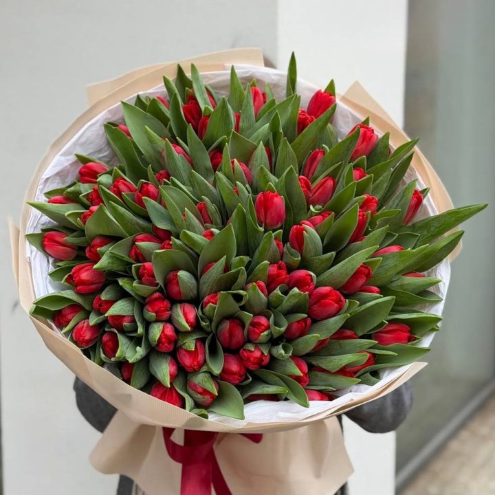 101 Red Tulips in Nicosia