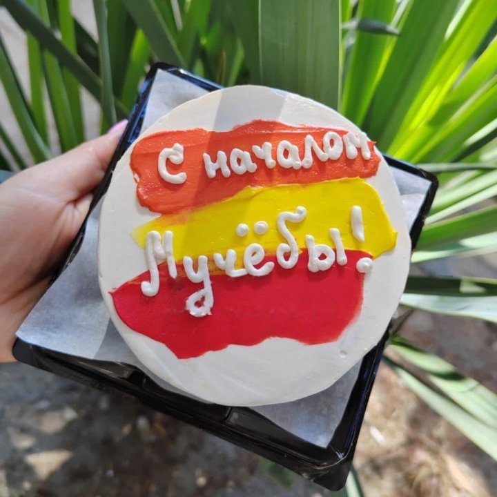 Bento Cake "For the Start of School" in Chisinau