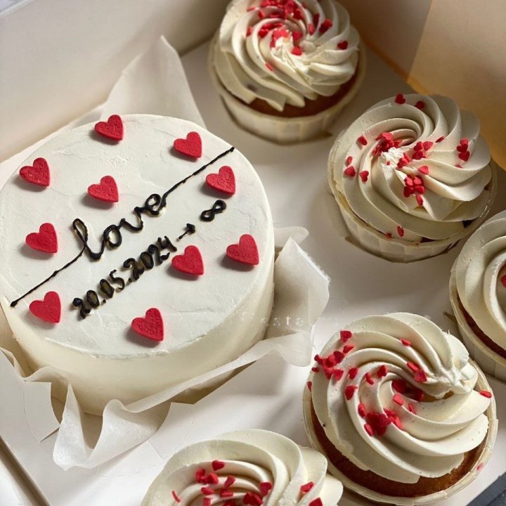 Cupcakes and Bento Cake "Favorites" in Geneva