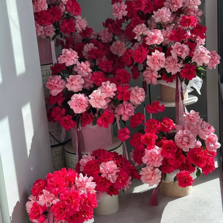 French Ecuadorian Roses Combo Set in Antwerp