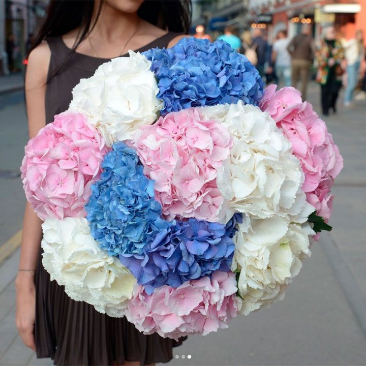 Hydrangea Bouquet "Yin-Yang" in London