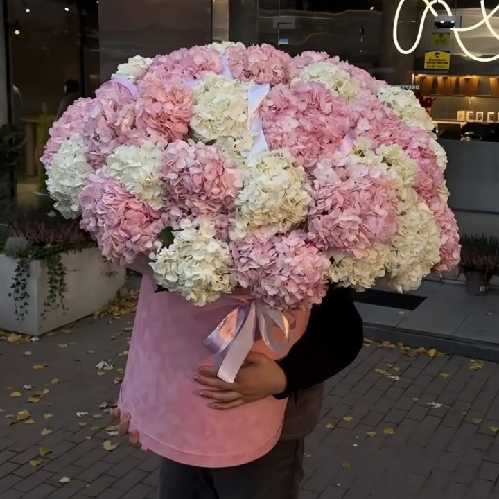 Designer Cylinder with Hydrangeas in Okurcalar