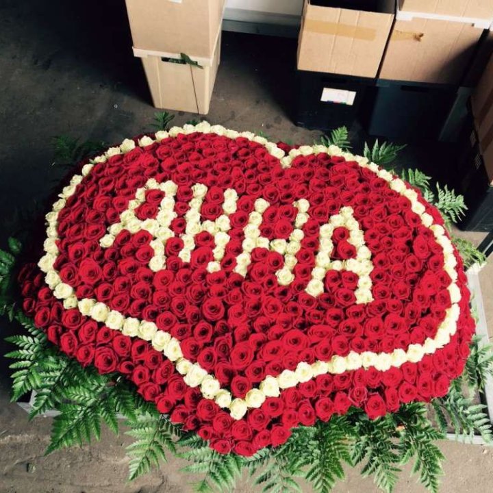 555 Roses with a Name in Sharjah