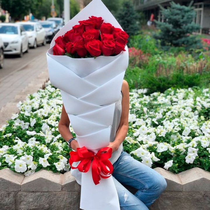 Tall Country Roses in Dubai