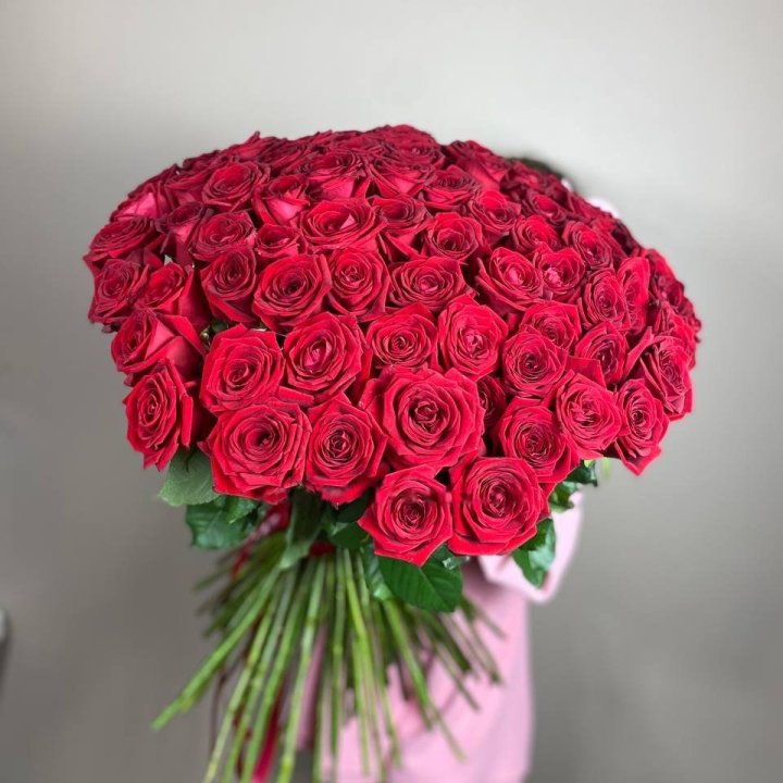 101 Dutch Roses in Dubai