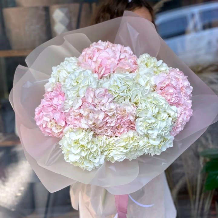 Hydrangea Bouquet No. 3 in London