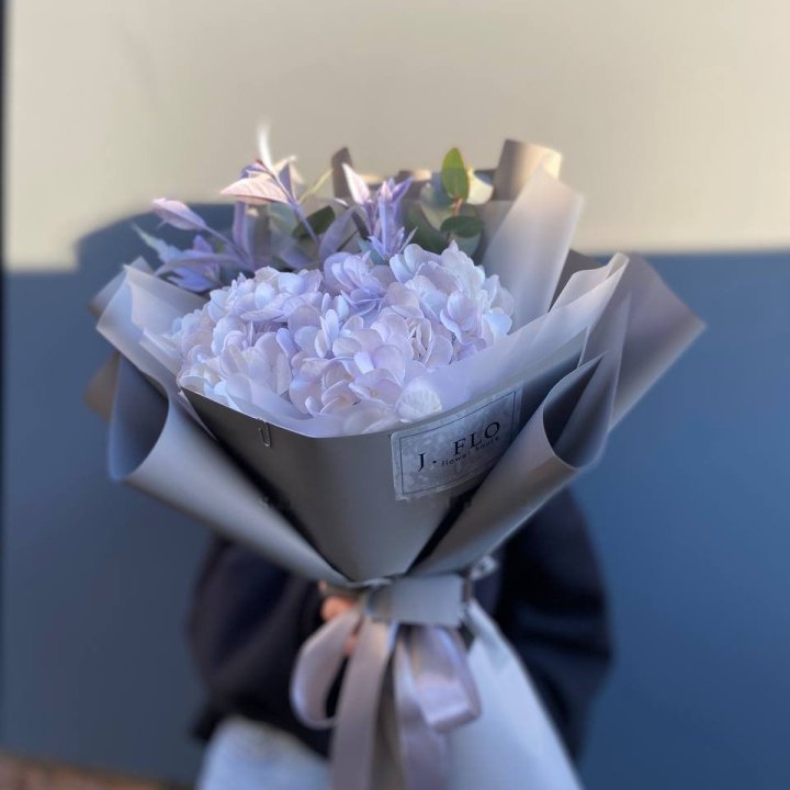 Hydrangea 