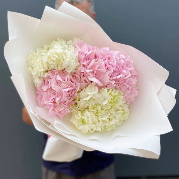 Hydrangea Bouquet No. 5 in London