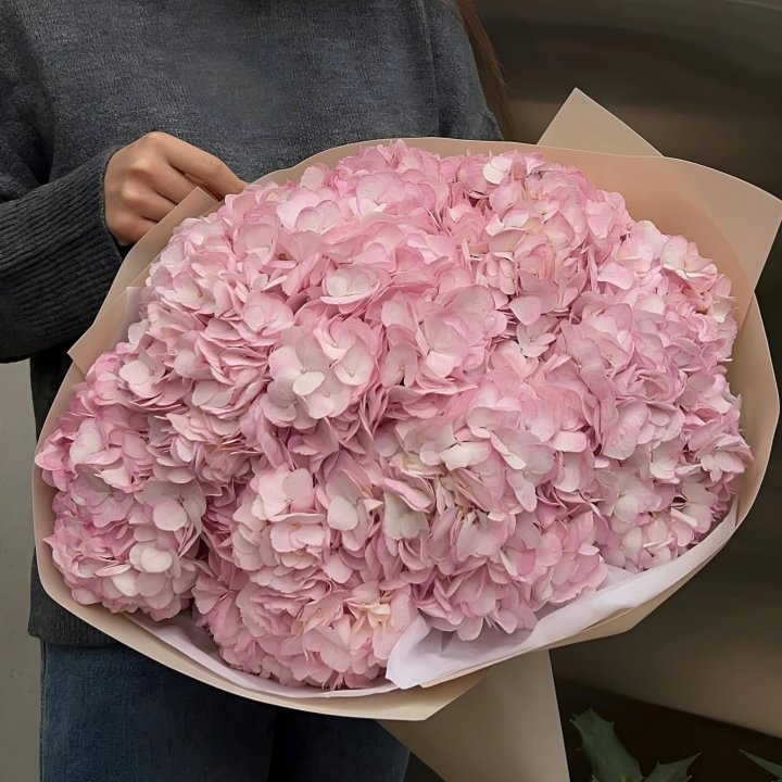 Rosé Hydrangea in London