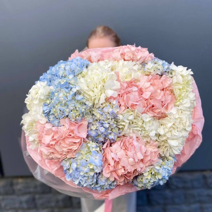 19 Mixed Hydrangeas in London
