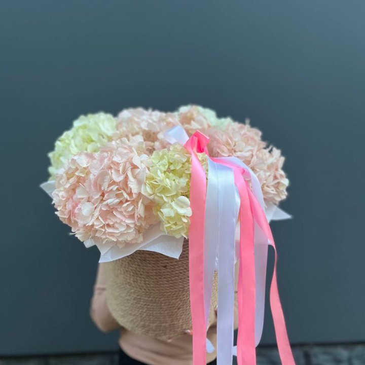 7 Hydrangeas in a Pot in Shanghai
