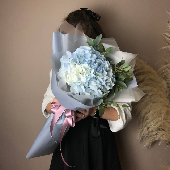Hydrangea Uno in Okurcalar