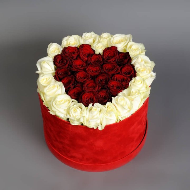 39 Red and White Roses in a Cylinder in Geneva