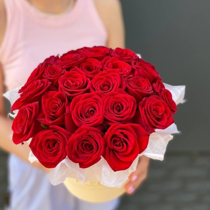 Red Roses in a Cylinder in Antwerp