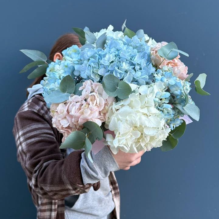 Hydrangeas in a Box in London
