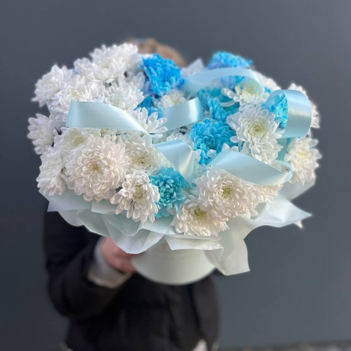 Chrysanthemums in a Box in Manchester