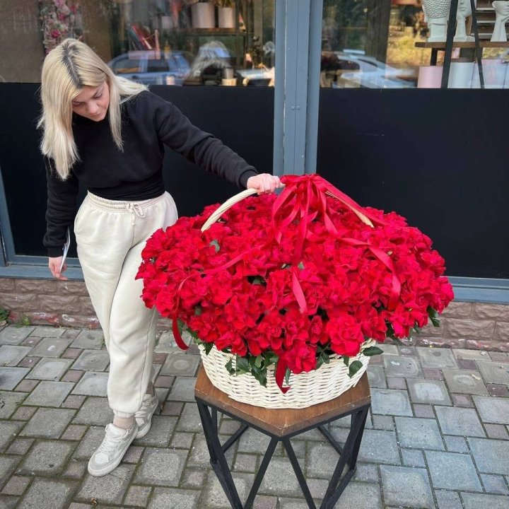 201 French Red Roses in Dubai