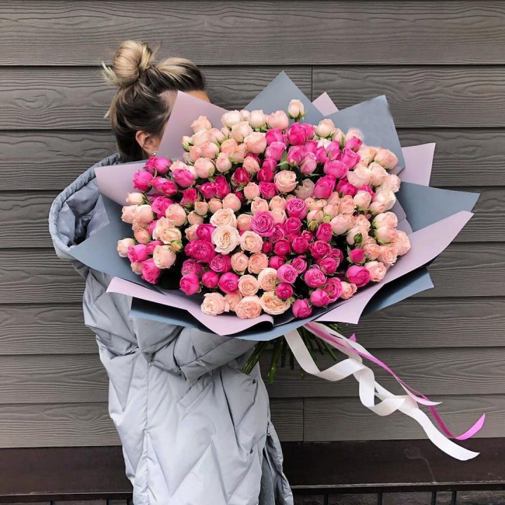 55 Mixed Bush Roses in Antwerp